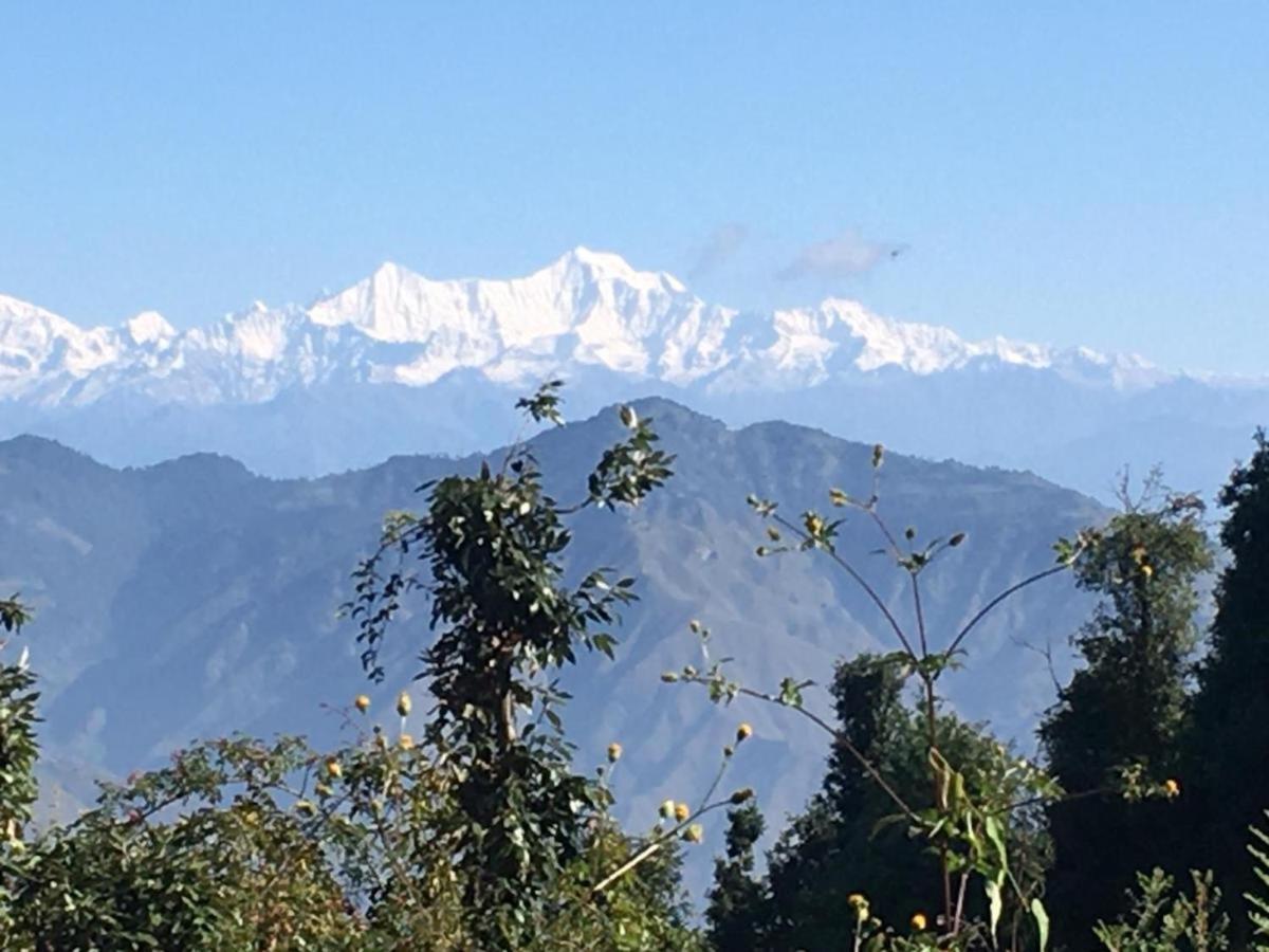 La Riqueza Dhanolti View # Near To Eco Park & Surkanda Devi Temple # Mountain View Rooms With Balcony # Big Parking # Customer Favourite Hotel Dhanaulti Exterior photo