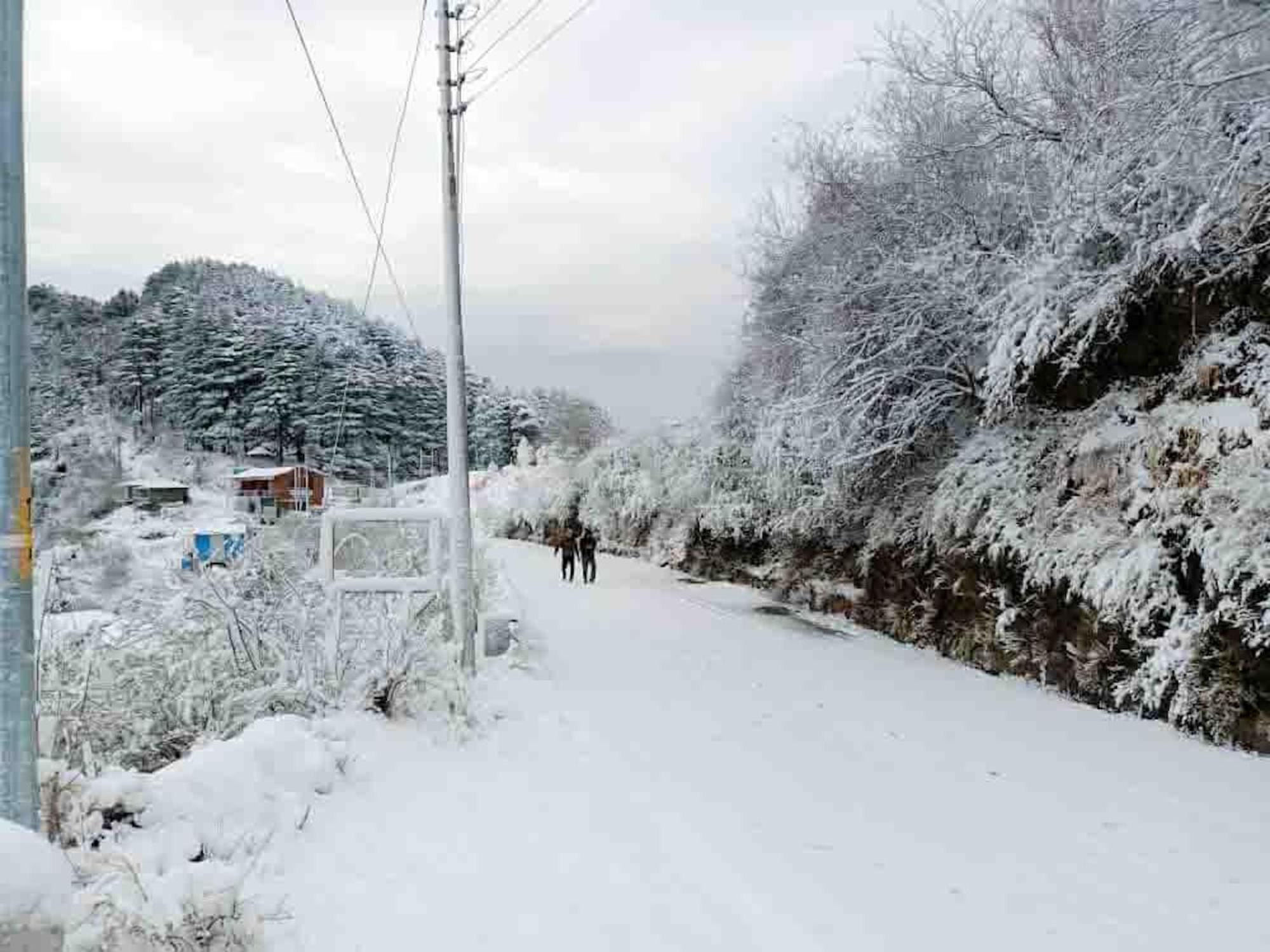 La Riqueza Dhanolti View # Near To Eco Park & Surkanda Devi Temple # Mountain View Rooms With Balcony # Big Parking # Customer Favourite Hotel Dhanaulti Exterior photo